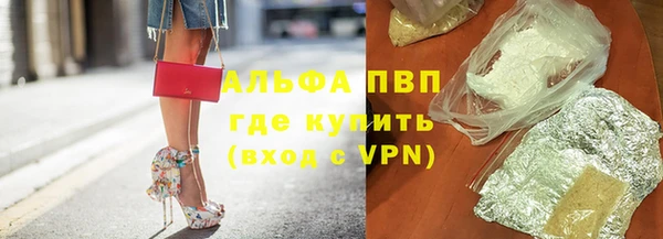 spice Каменка
