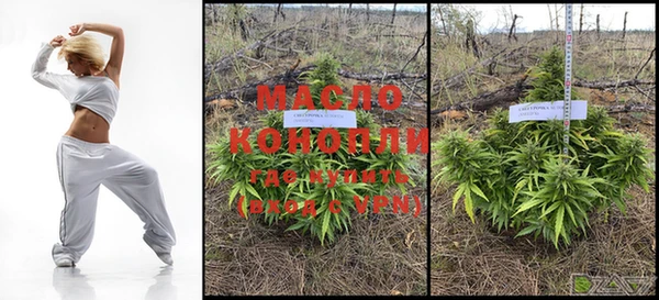 ешки Каменногорск