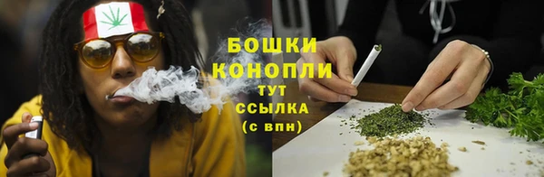 spice Каменка