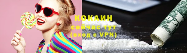 ешки Каменногорск