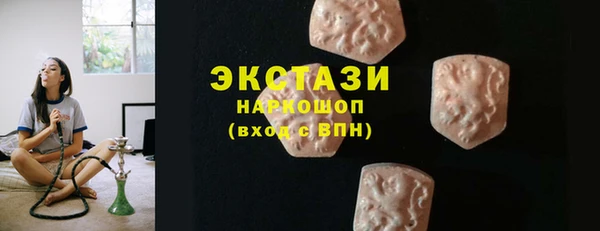 spice Каменка