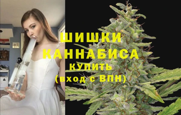 ешки Каменногорск
