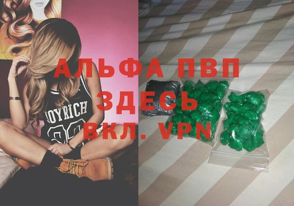 spice Каменка