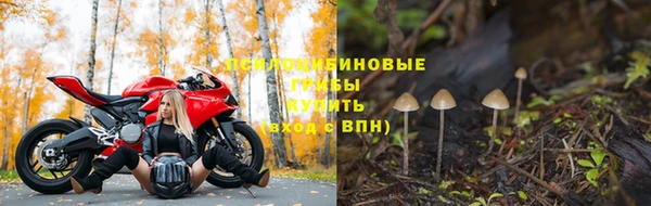 спиды Каменск-Шахтинский